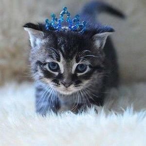 Meet your Posher, Margaret